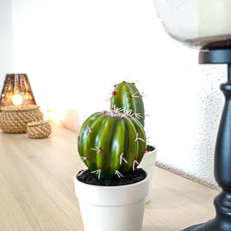 Litoral Costa Dorada - Coral Only Families *